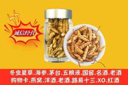 普洱澜沧县名酒回收散虫草.jpg