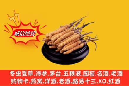 普洱澜沧县名酒回收冬虫夏草.jpg